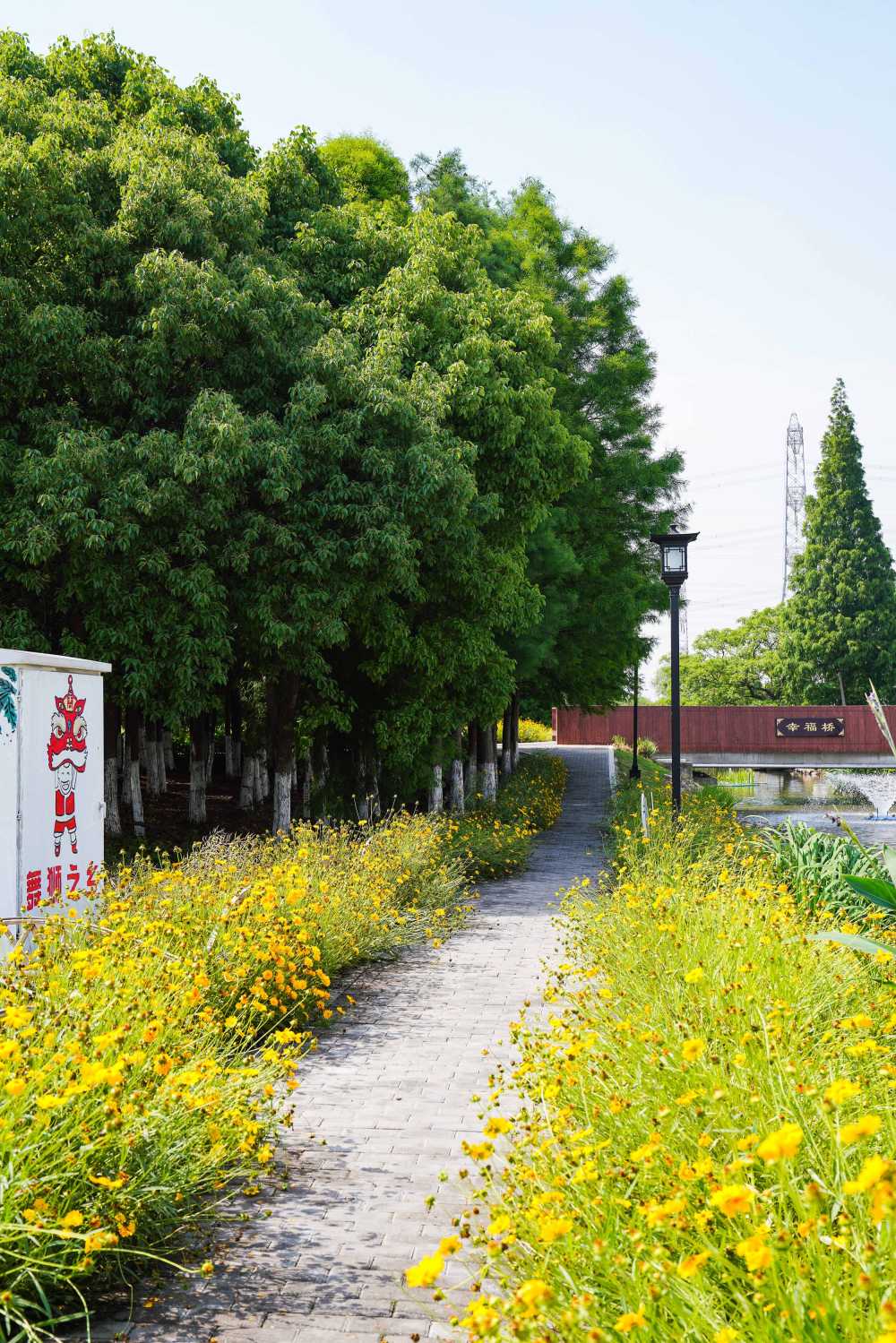 新农村风貌