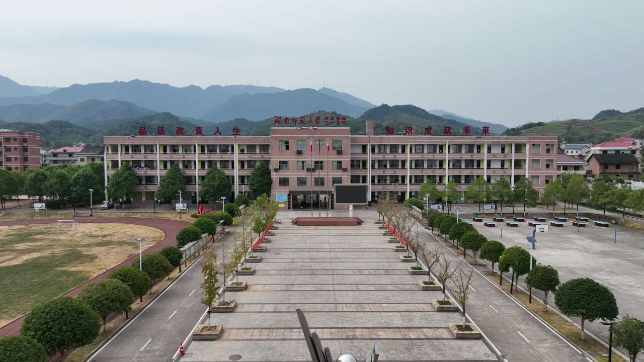 小学 3