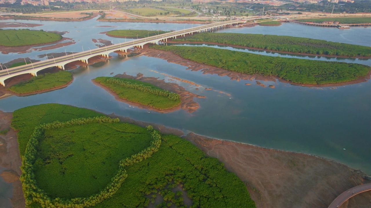 厦门航拍下潭尾湿地公园景观