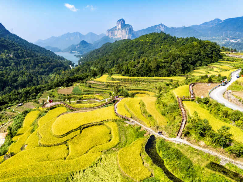 金秋十月 “丰”景如画 3