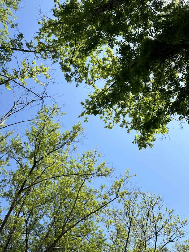 夏天
