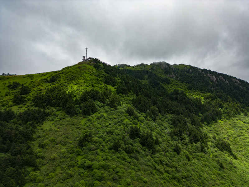 祖国青山森林树林云雾航拍摄影图