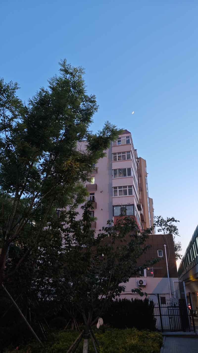 夏夜温柔
