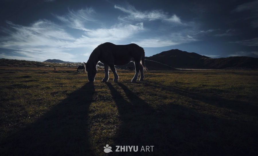 风把云扯成丝絮，光从山后漏下来，给吃草的马镀了层绒边