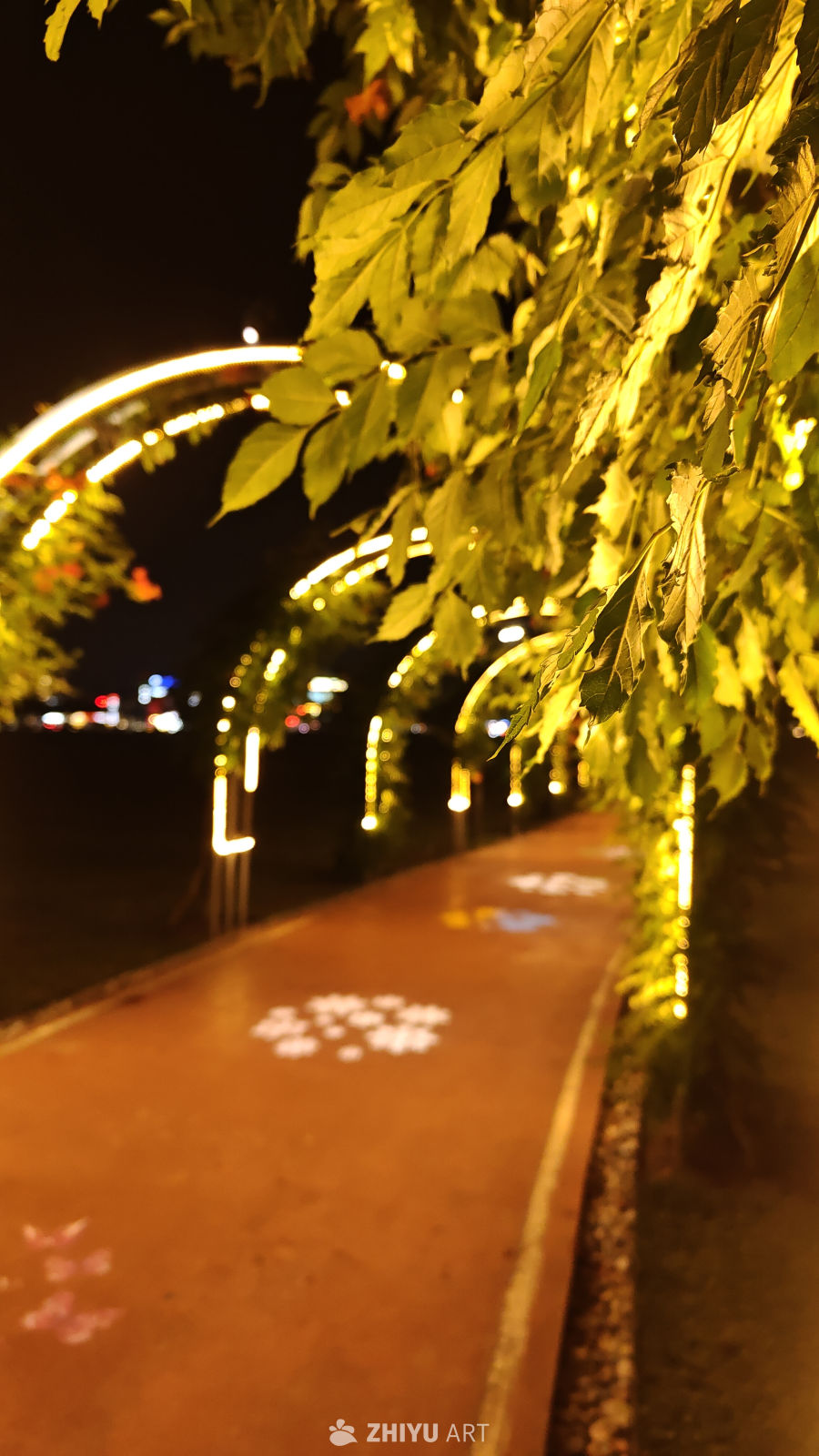 夜间的光门甬路