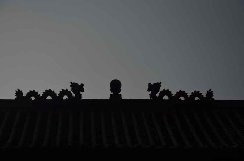 随拍