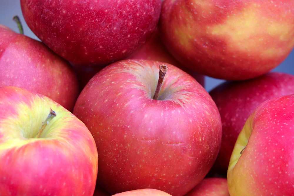 苹果水果健康秋季