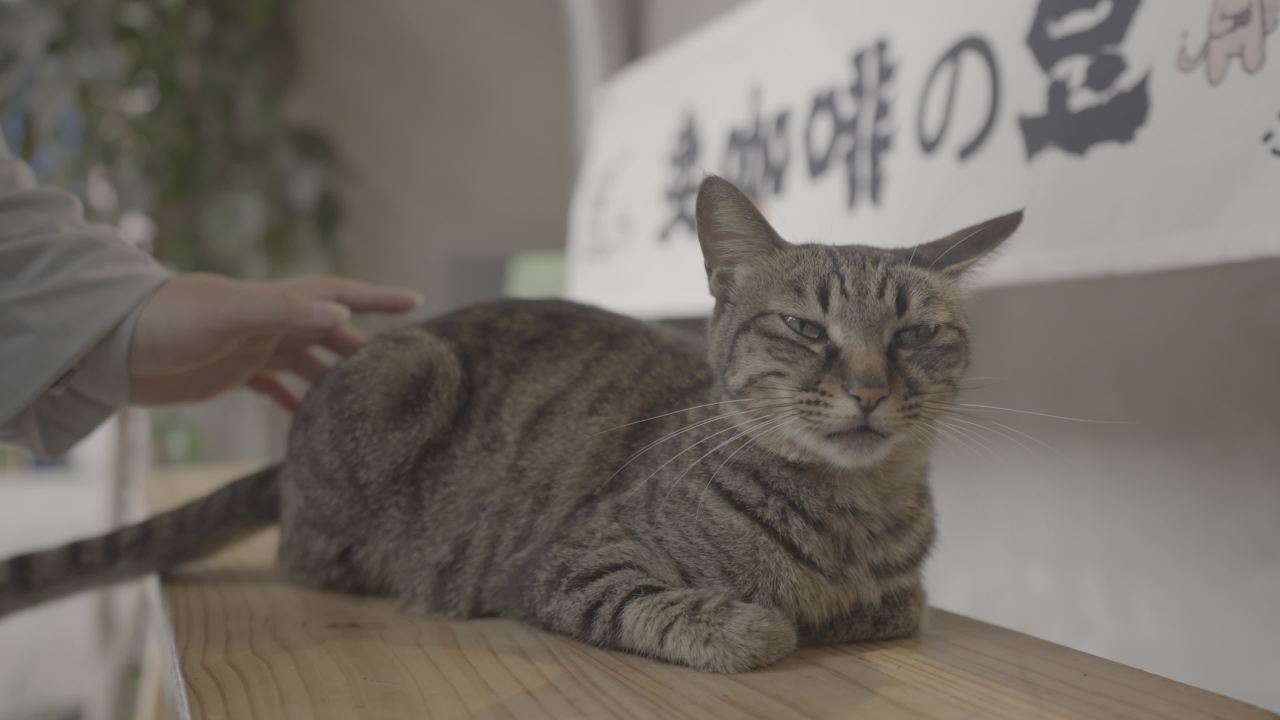 北海 22