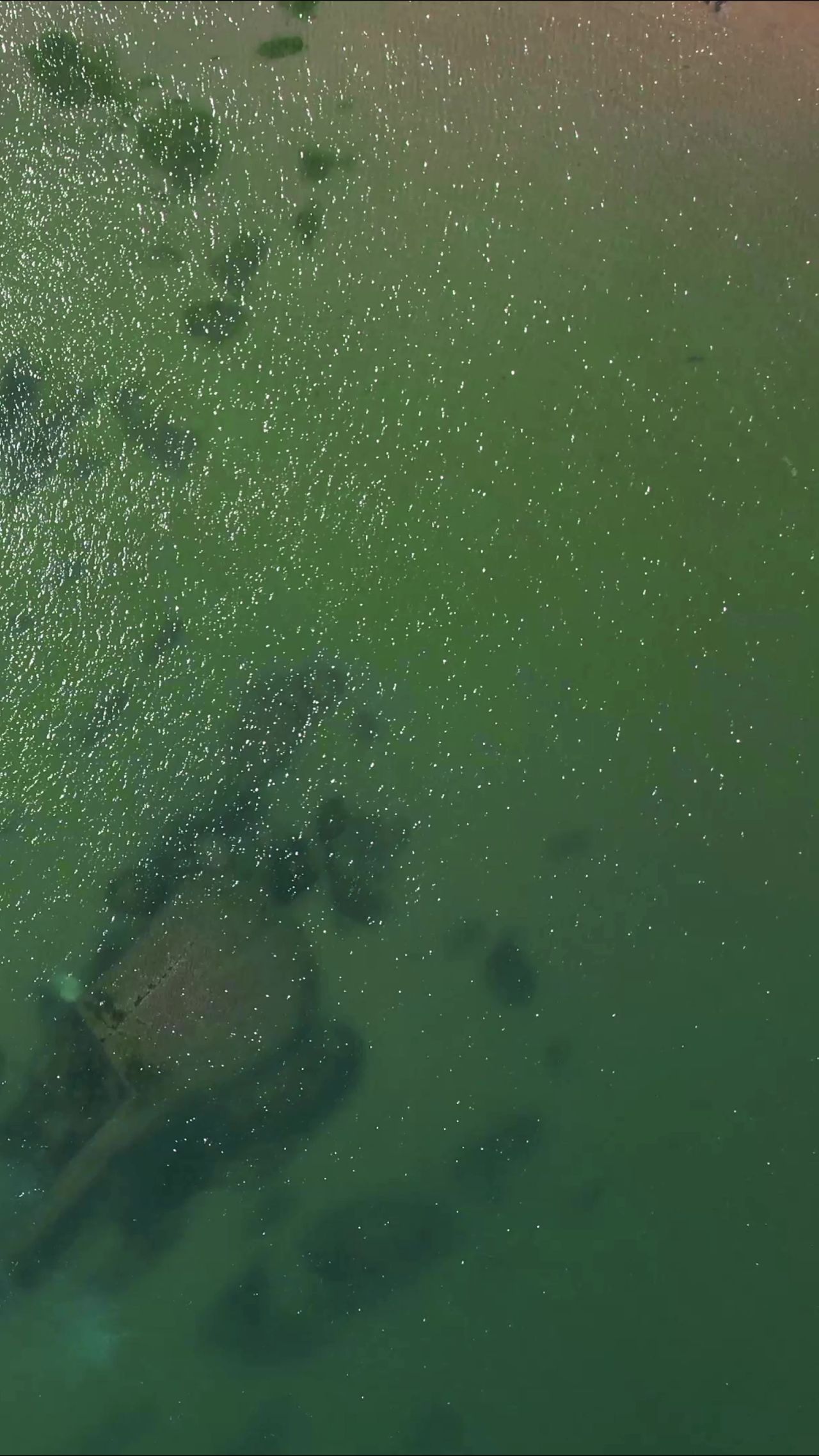 大海海浪沙滩自然风光竖屏航拍 