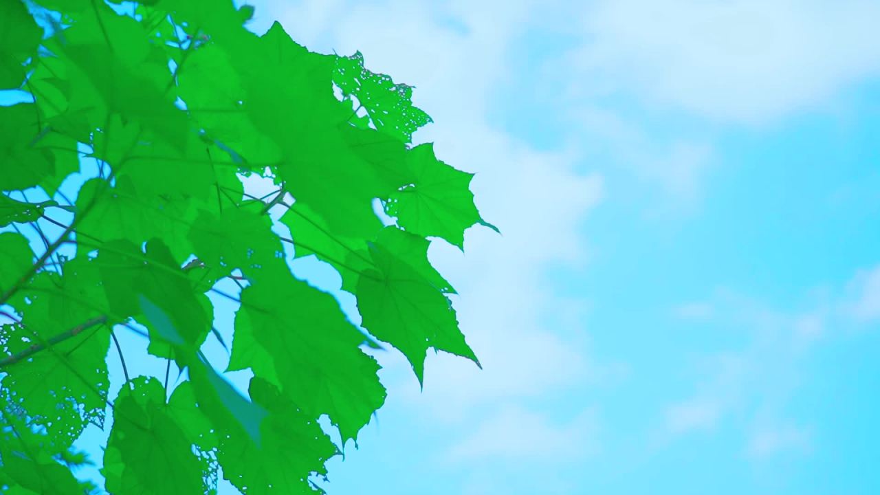 自然 1