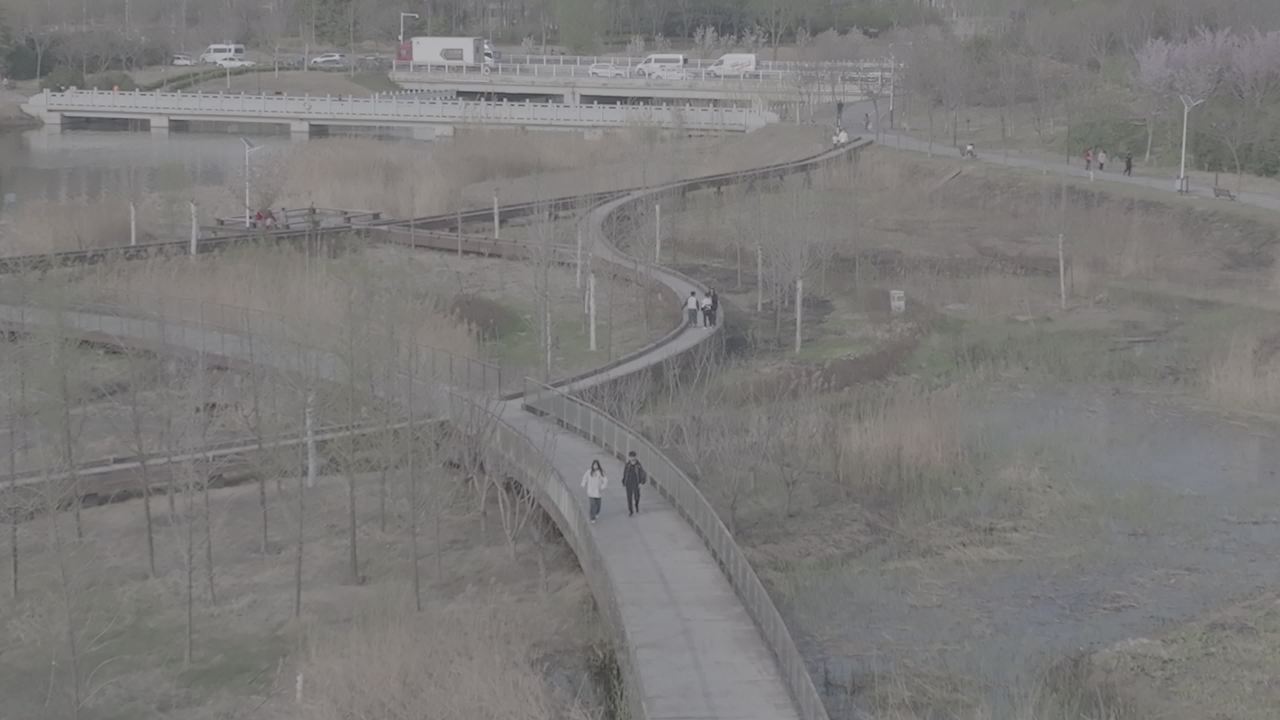 公园漫步时光