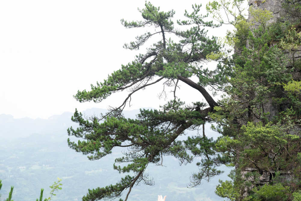 恩施大峡谷