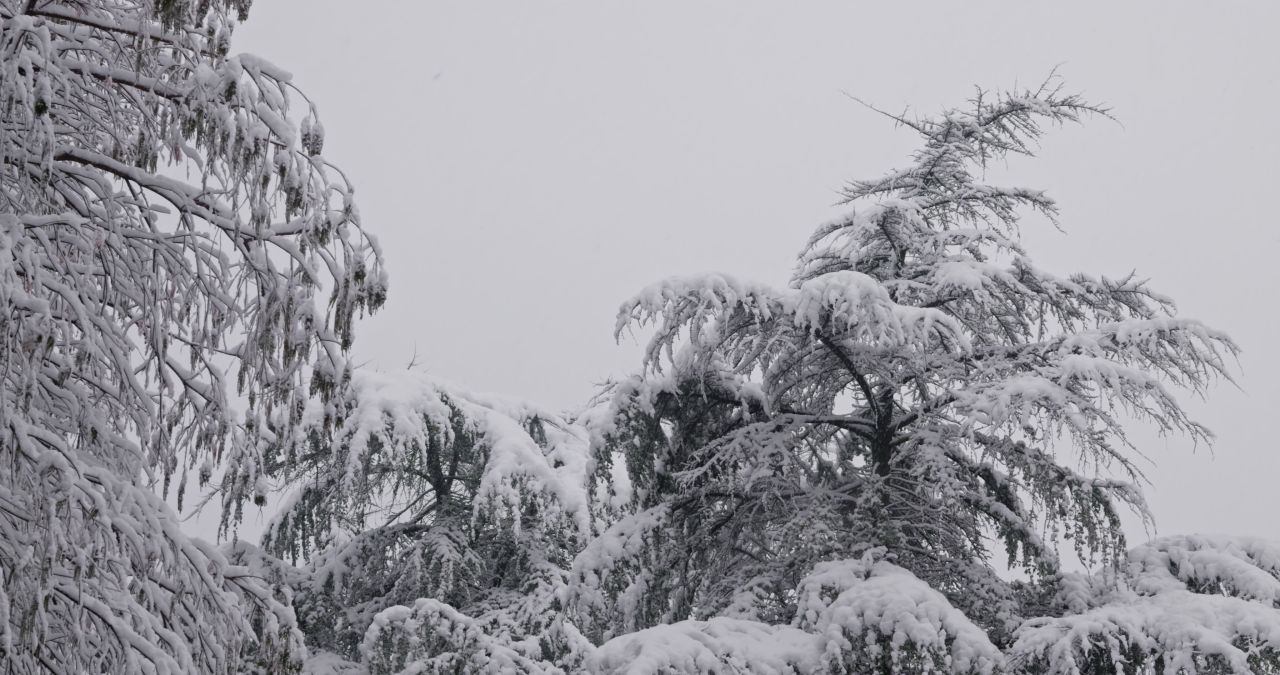 湖南长沙岳麓山爱晚亭城市雪景风光 17