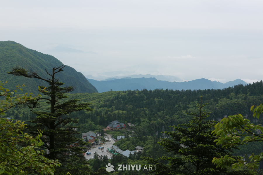 山间寺庙与云海