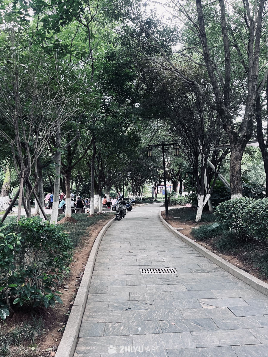 公园石板路与绿树