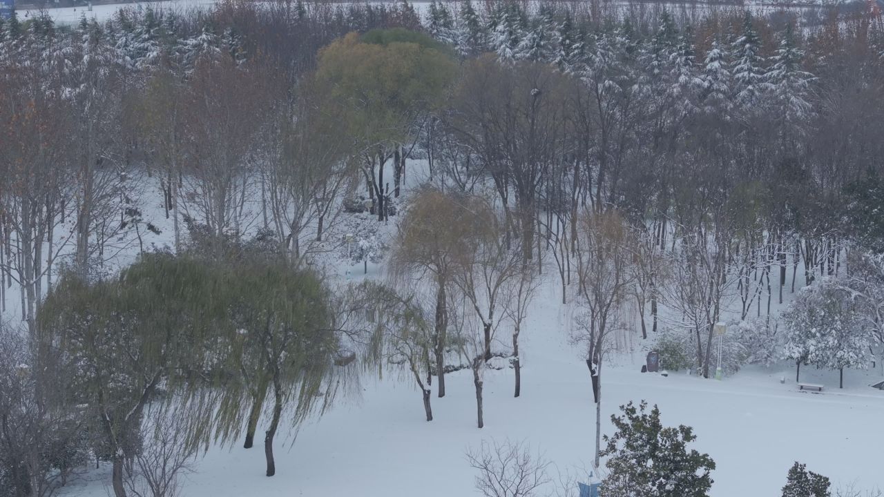 航拍公园雪景 9