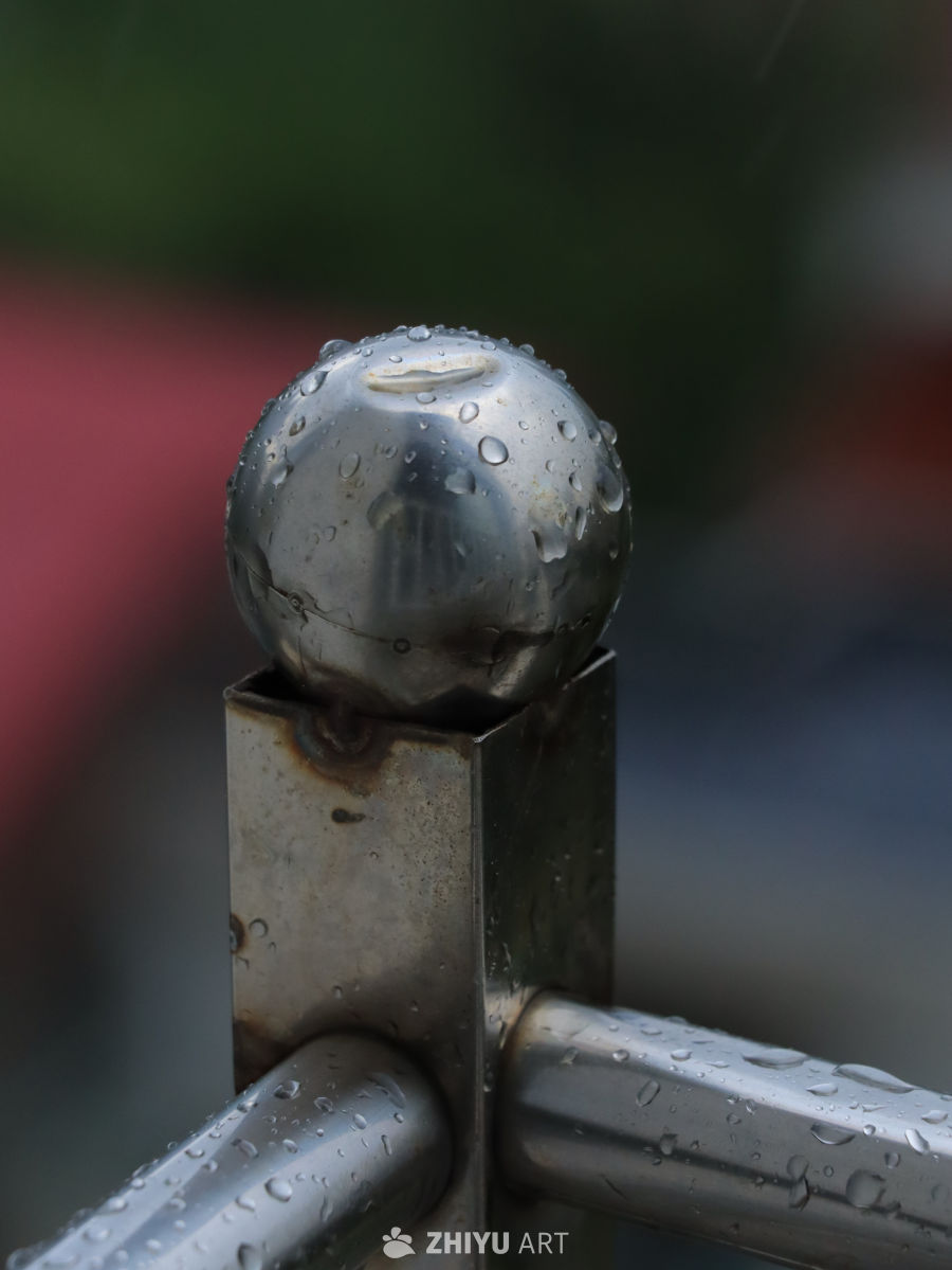雨后挂满水珠的铁球