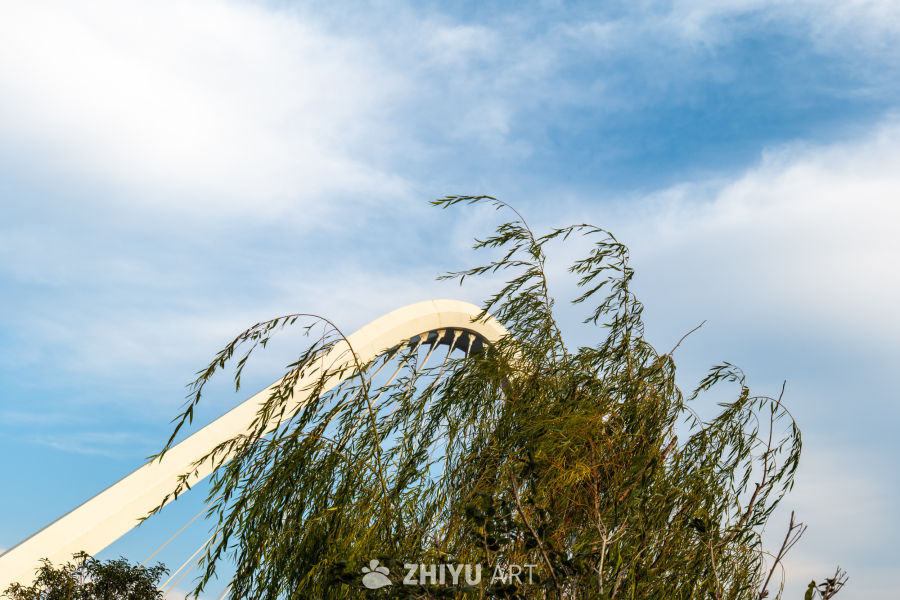 拱桥与柳树的静谧之美