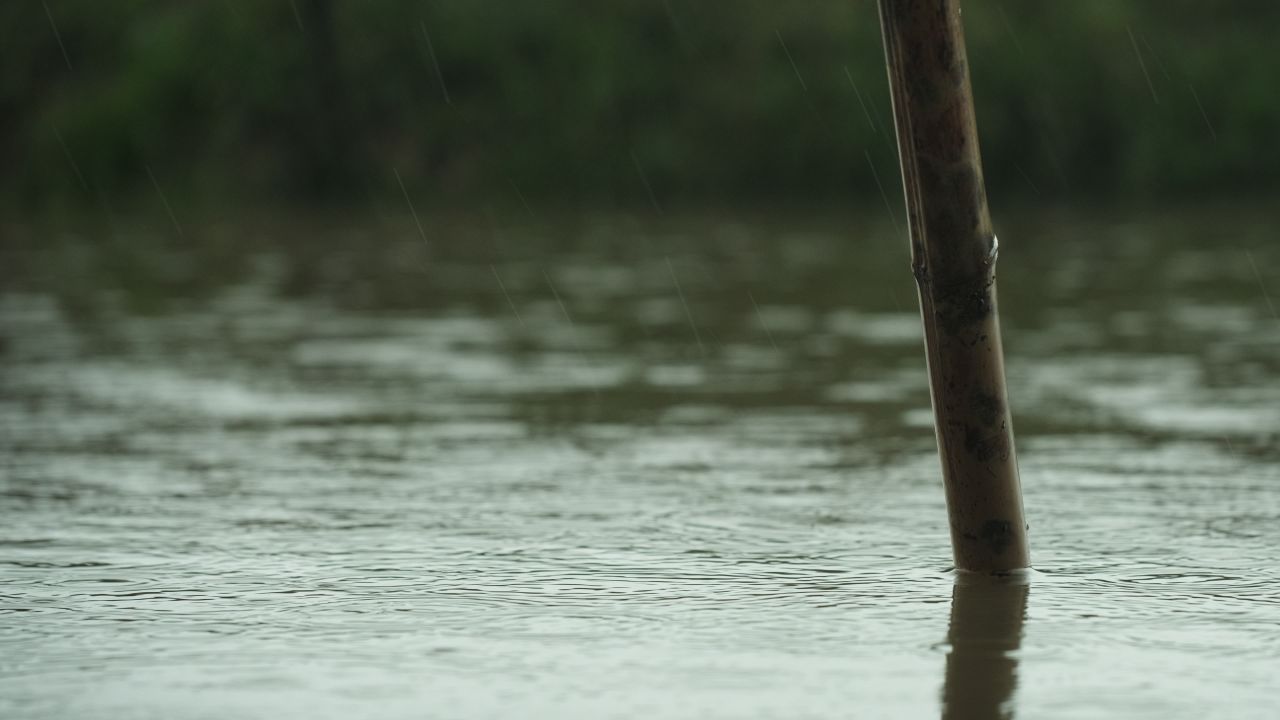 下雨清明谷雨酸雨倾盆大雨蒙蒙细雨 34