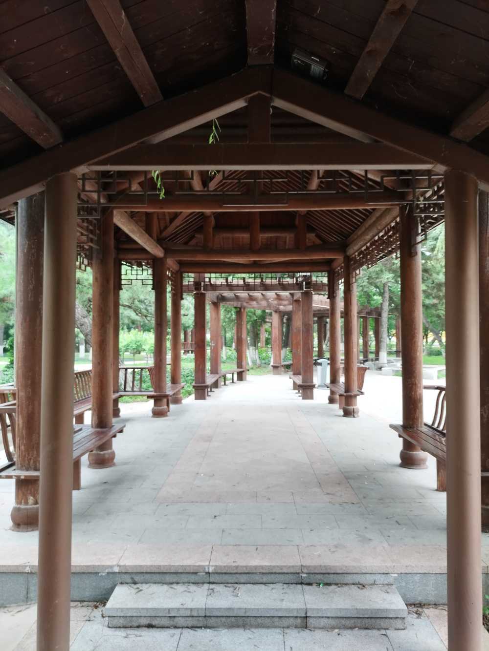东北大学风景