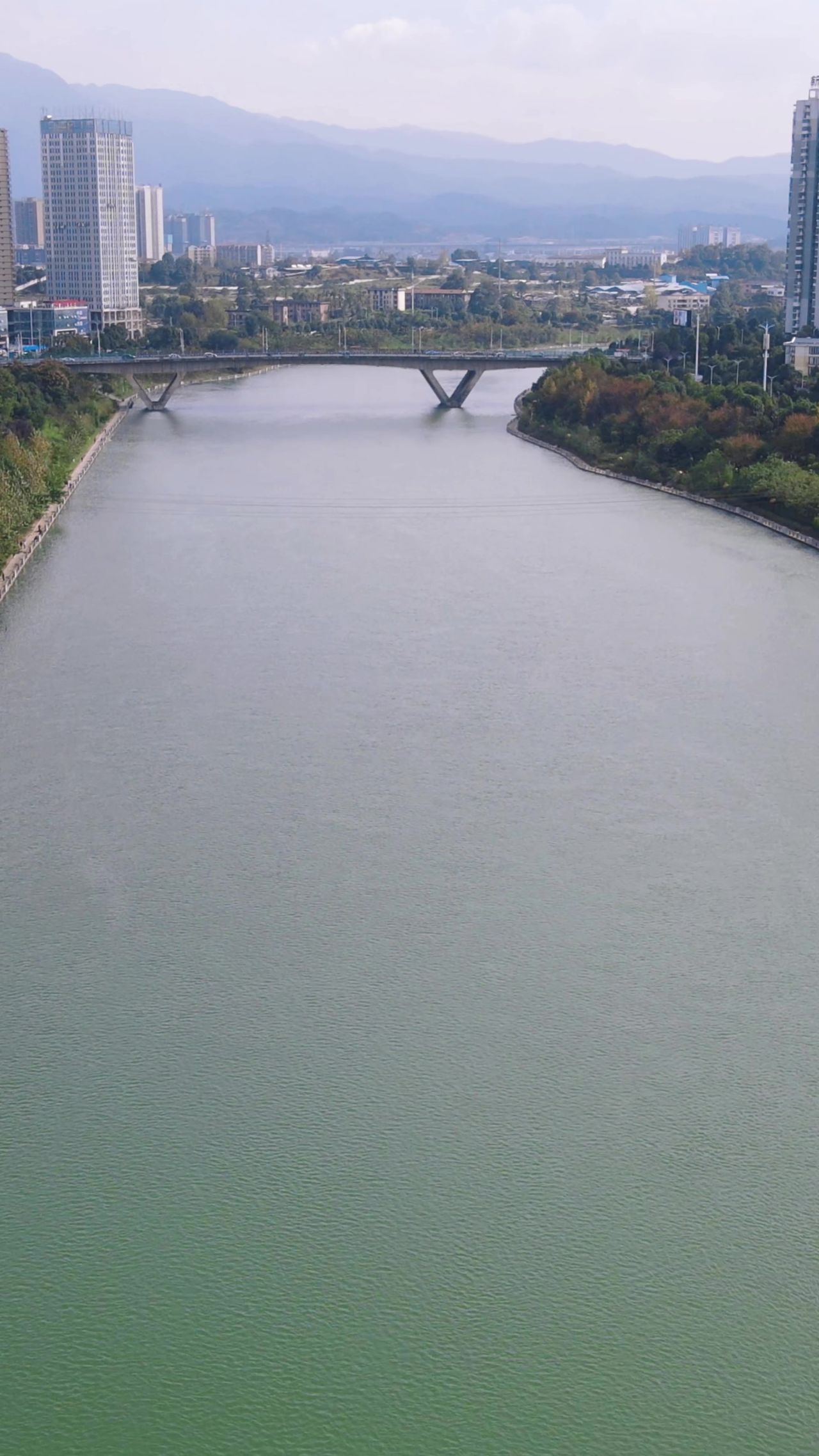 城市沿河绿化植物竖屏航拍 