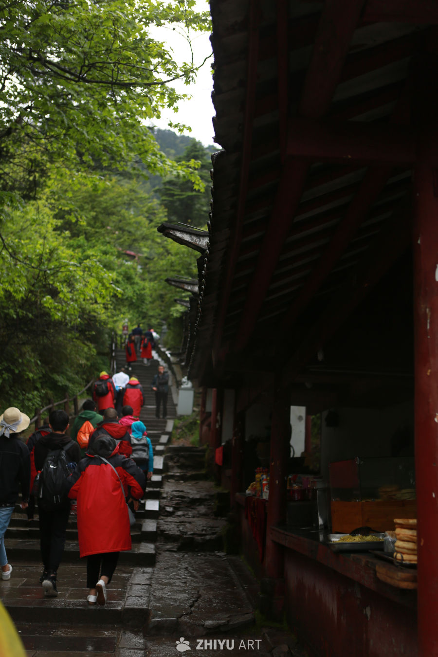 古道上的雨中行者