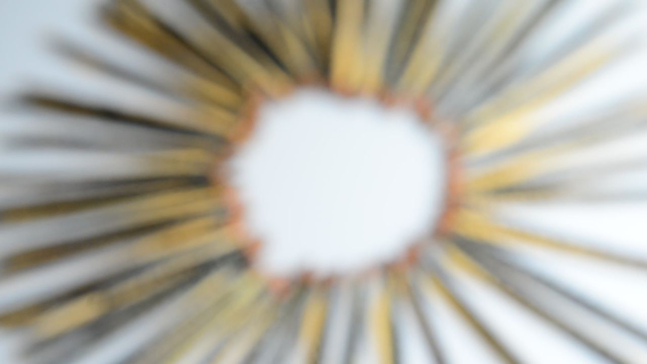 蜈蚣中药材 15