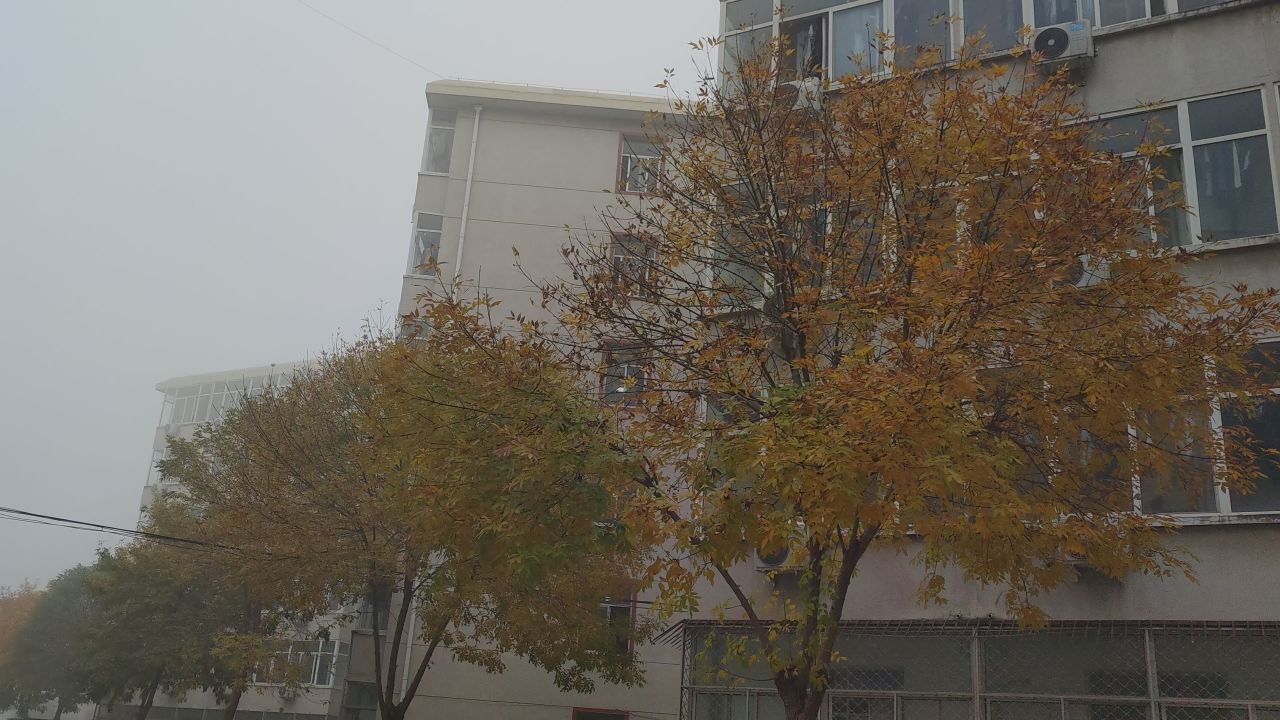 大学 保定 15
