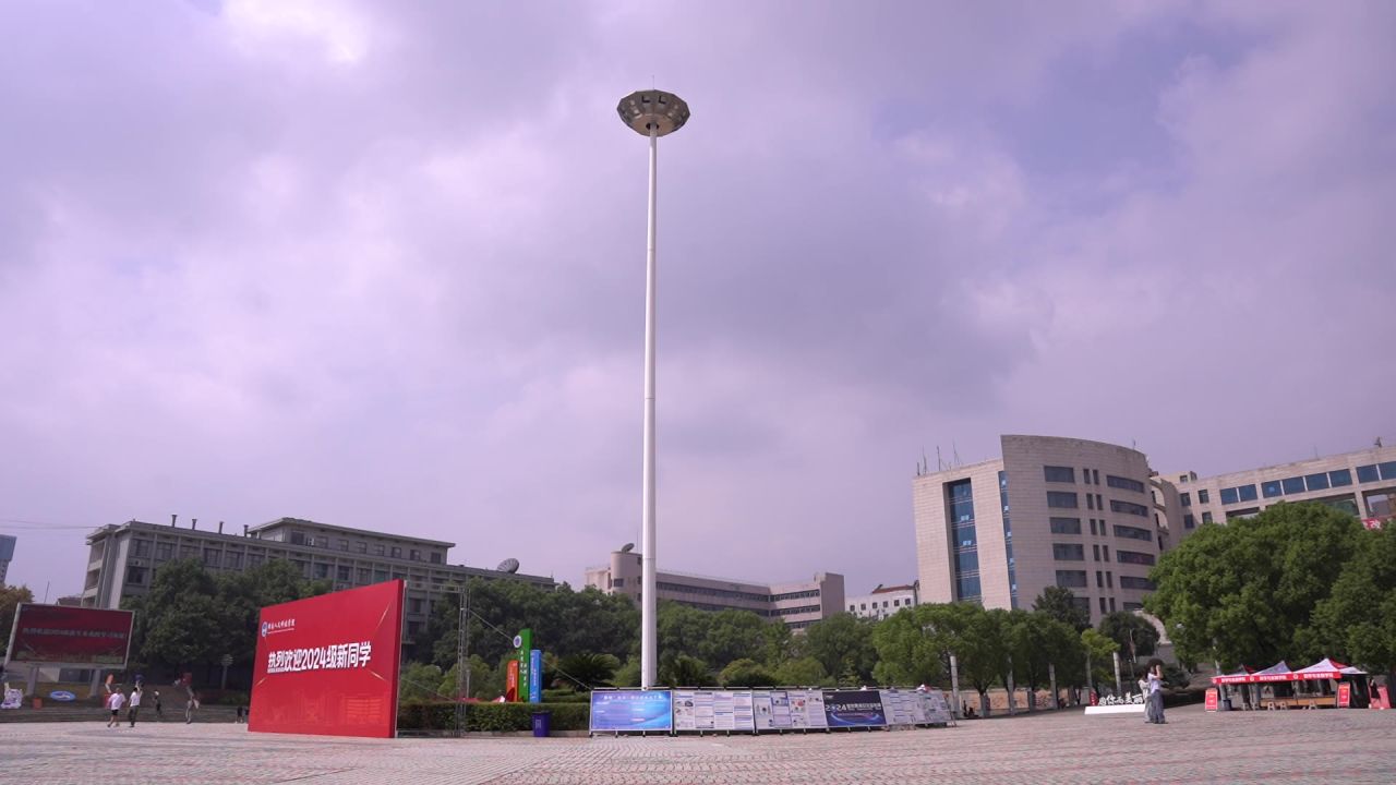 大学 11