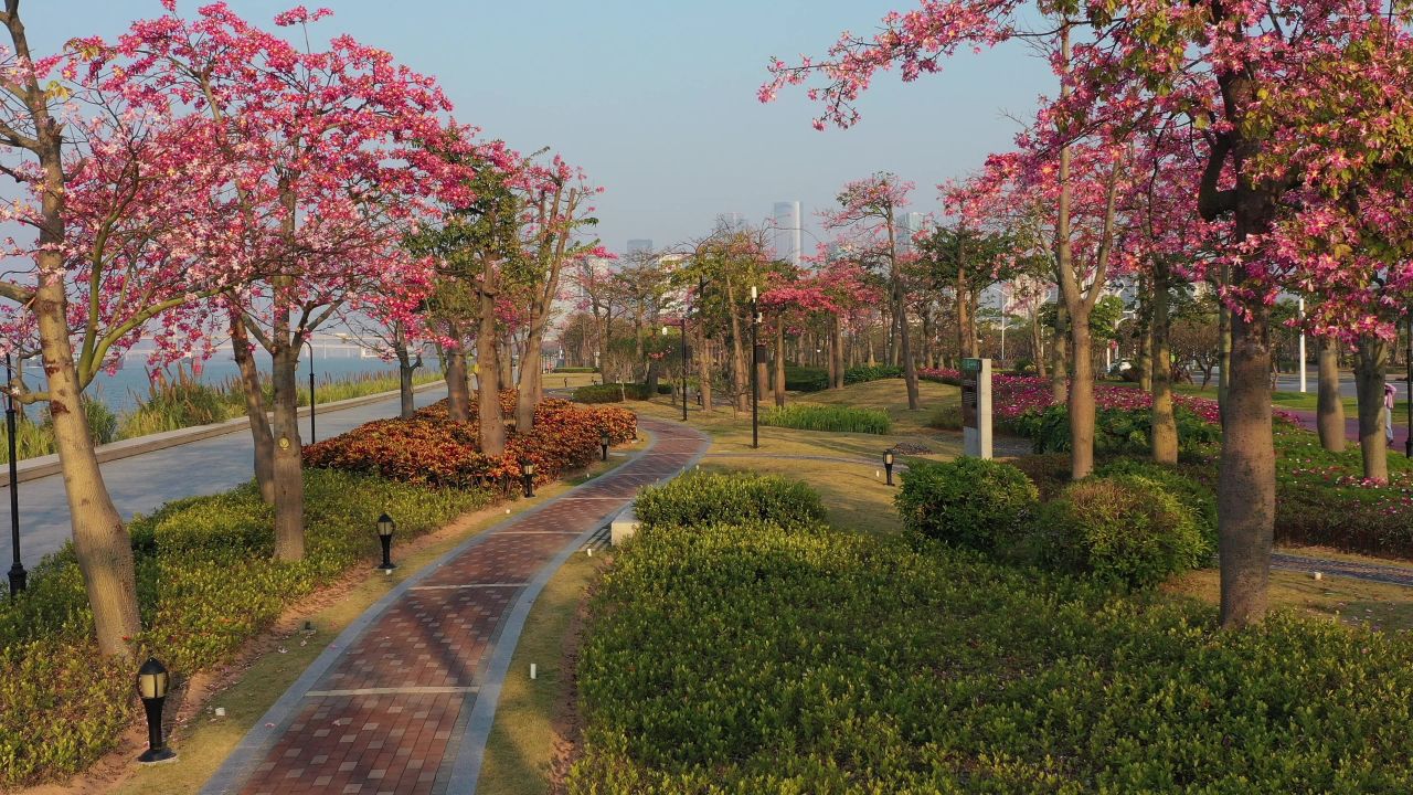 横琴花海长廊 15