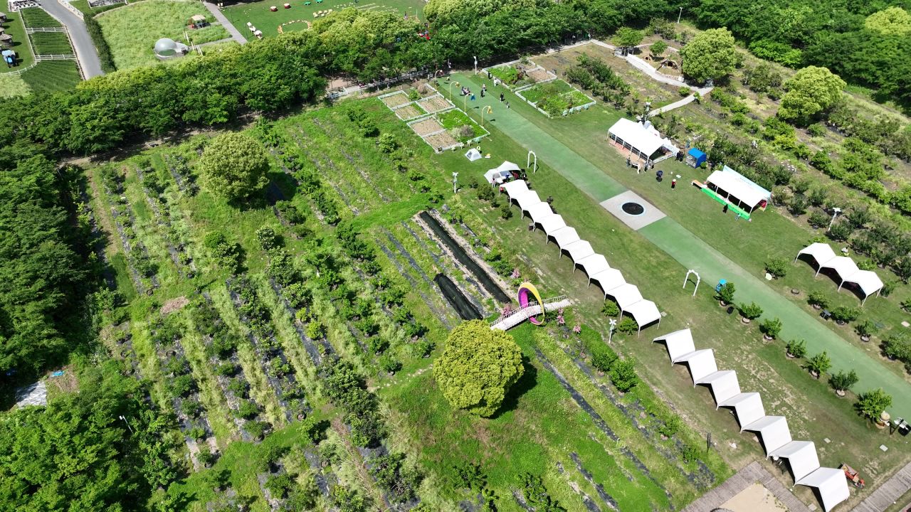 4K航拍上海金山区山阳田园 4