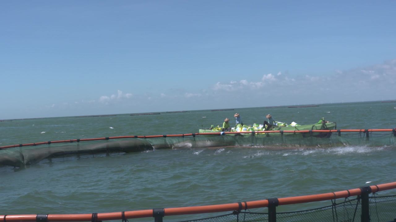 海洋牧场深海养殖