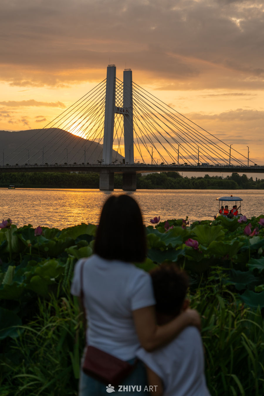 夕阳下的大桥 15