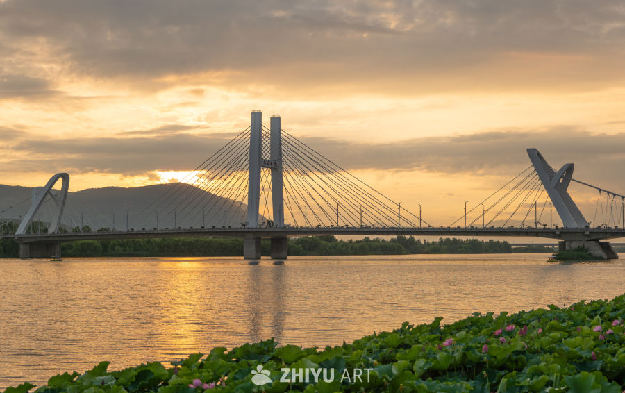 夕阳下的大桥 7