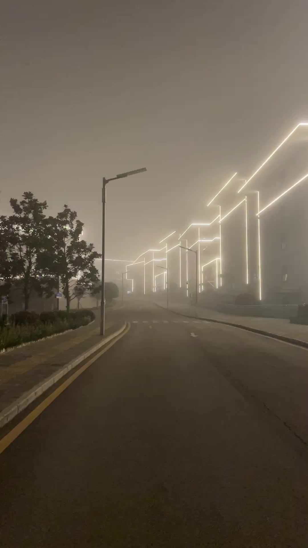 雾中校园 3