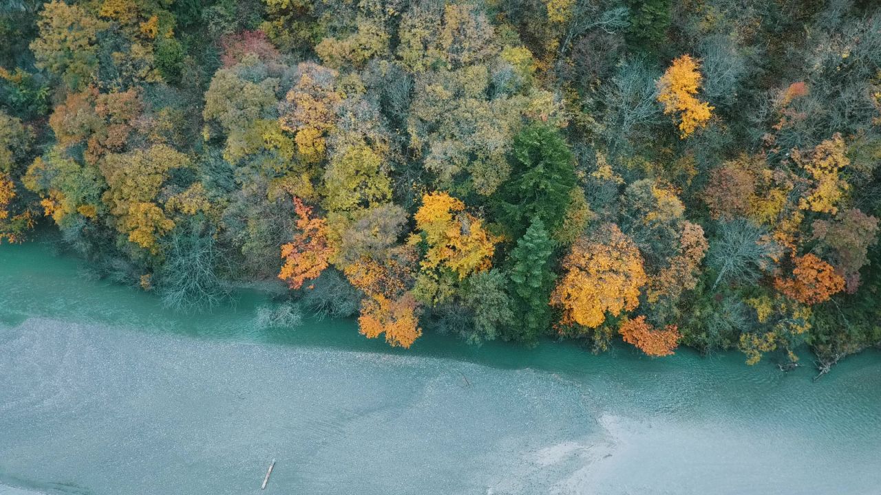 森林溪水航拍