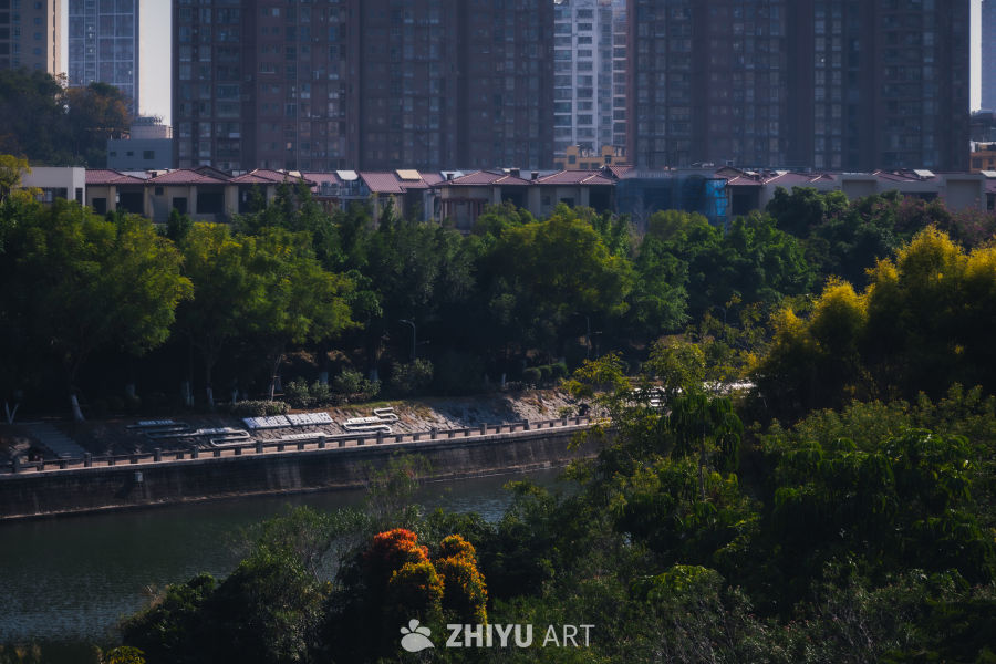城市河边的静谧时光