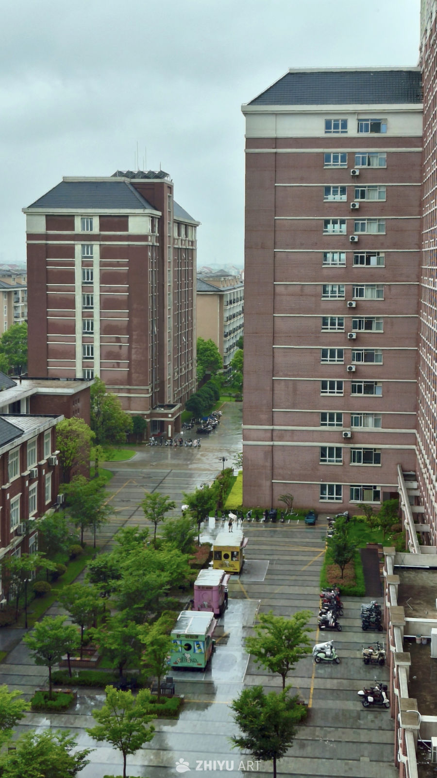 雨后的校园