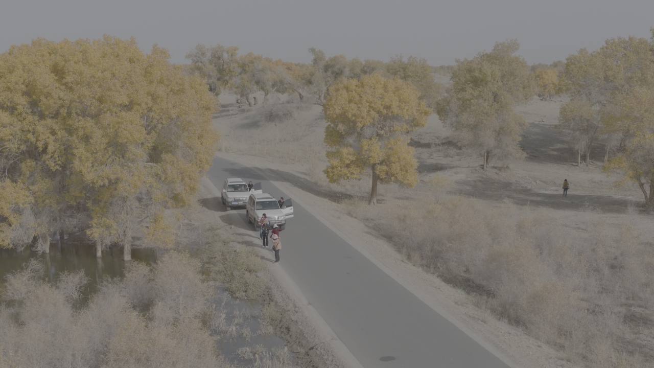 秋日乡村车队行驶