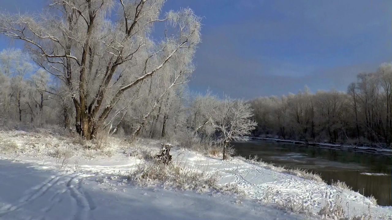 西伯利亚冬季漫漫雪