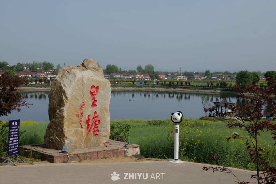 油菜花海 5