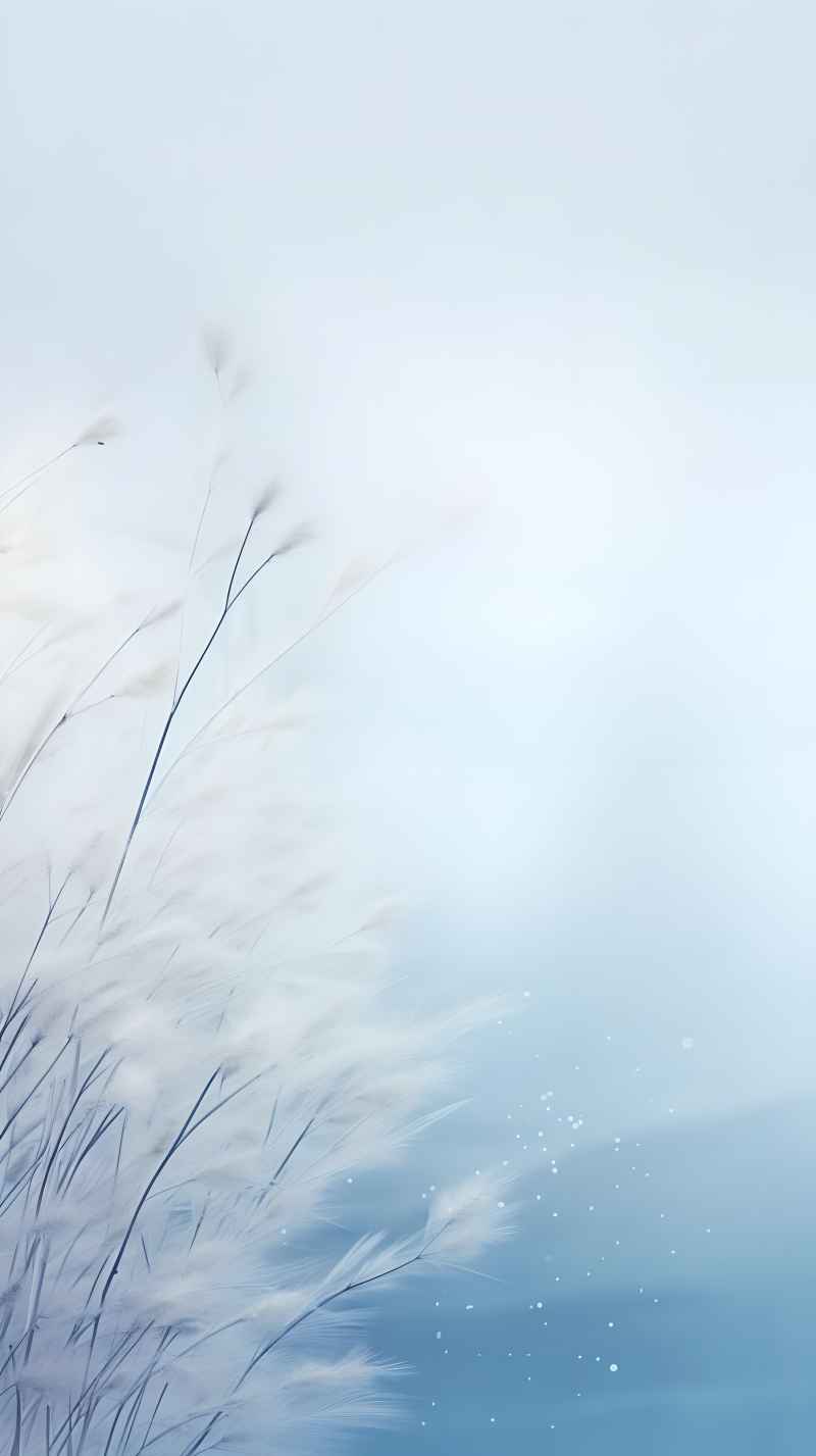 冬季冬天雪景唯美背景 13