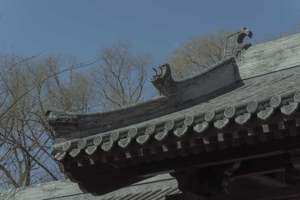 初春玉渊潭