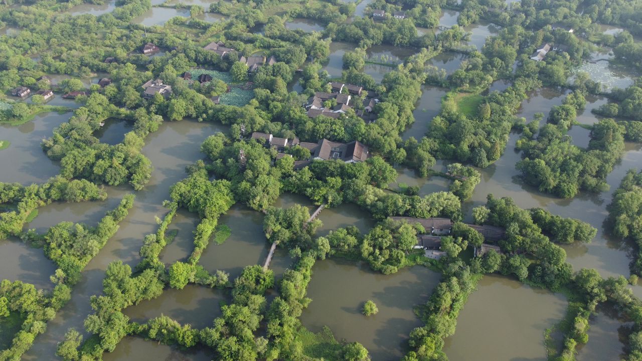 杭州西溪湿地