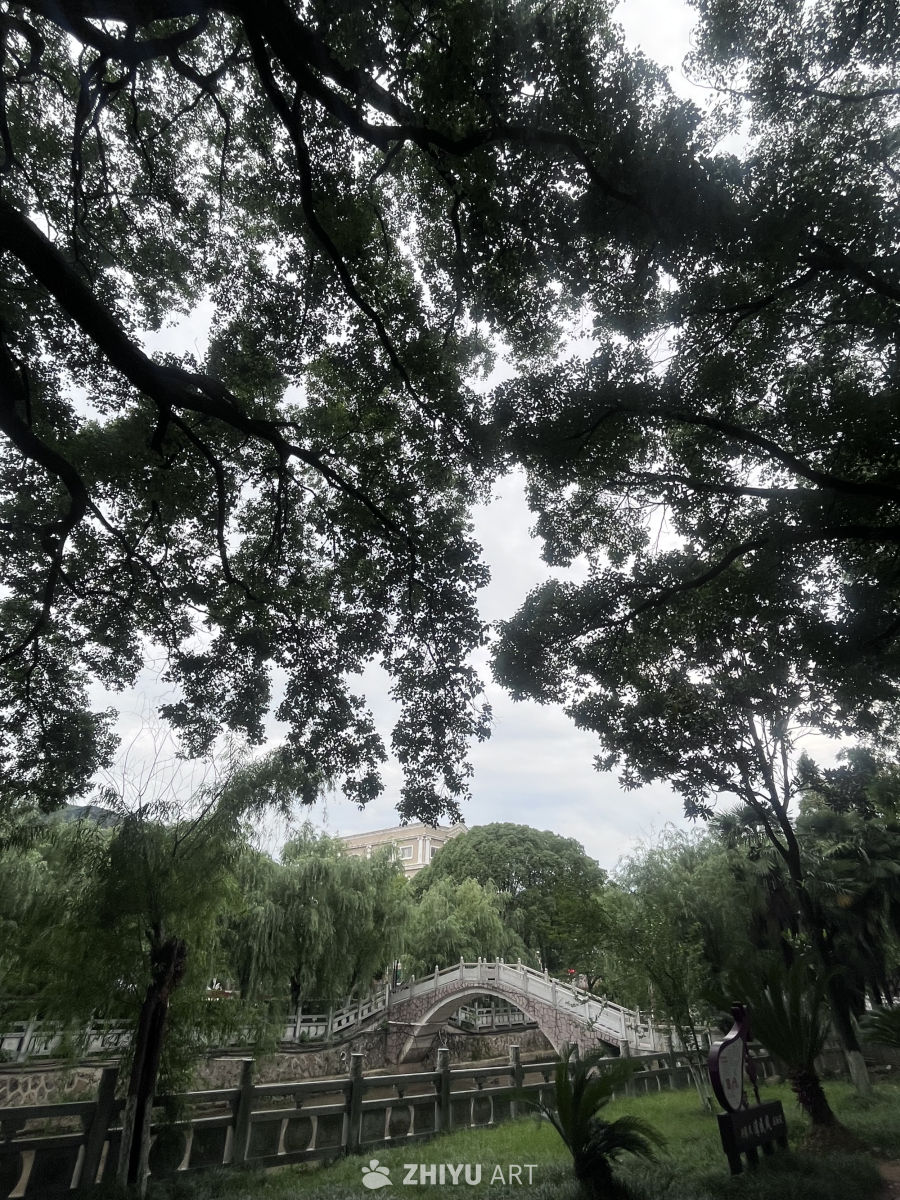 绿意盎然的公园桥景