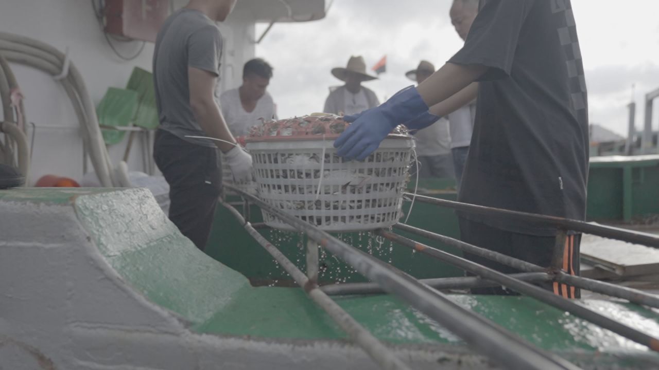 舟山渔民捕捞螃蟹慢动作