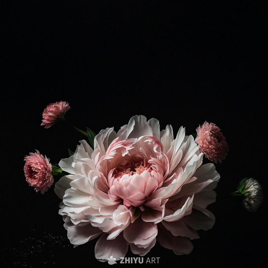 黑色的背景上，一束粉色和白色的花朵被摆放成一个花束