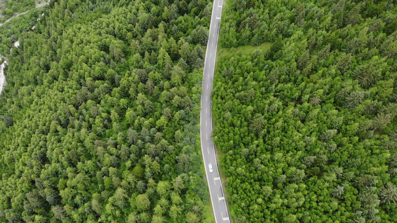航拍汽车穿梭于森林公路