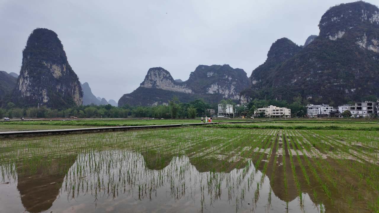 农村 14