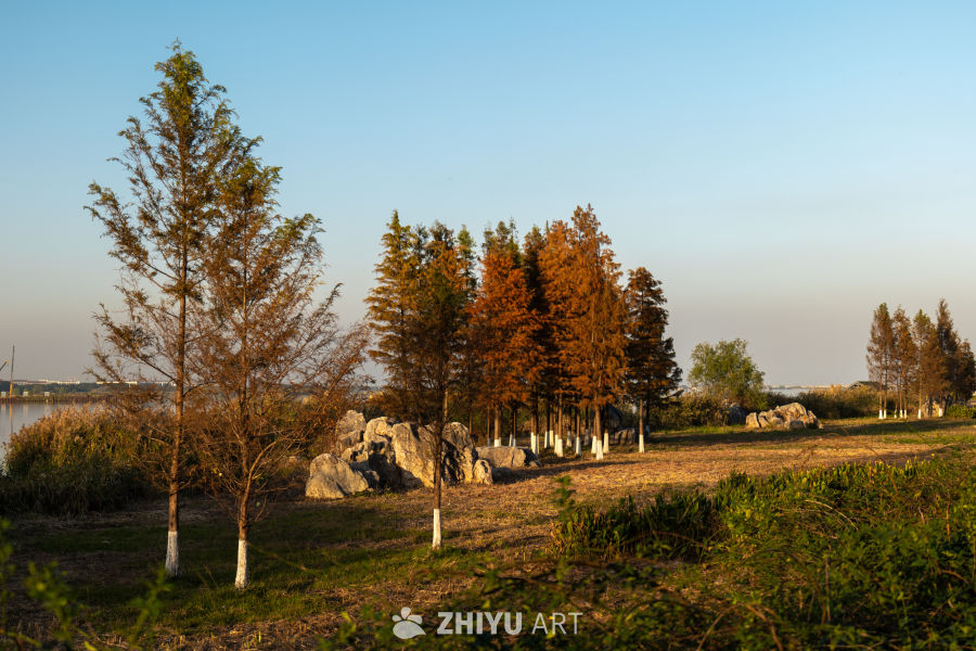 秋日湖畔静谧景